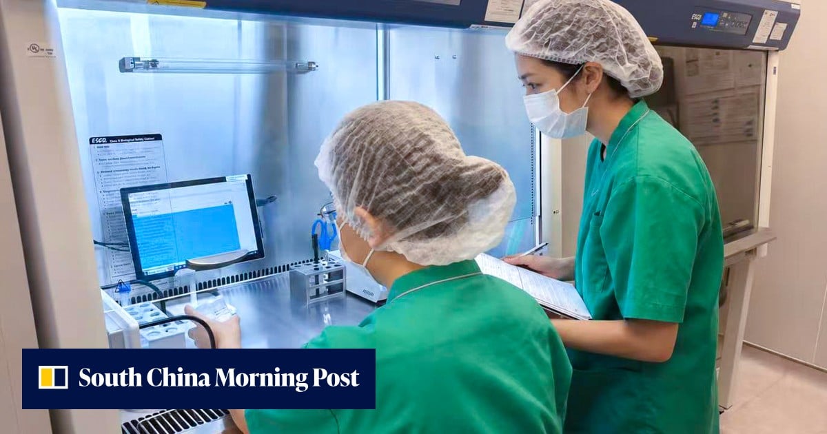 https://cdn.i-scmp.com/sites/default/files/styles/og_image_scmp_generic/public/d8/images/canvas/2026/10/05/f440fa6f-5400-47cd-a090-d269ab40e079_7bf20e3a.jpg?itok=ySTO1MRN&v=1791208016