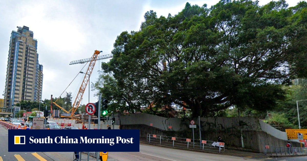 https://cdn.i-scmp.com/sites/default/files/styles/og_image_scmp_generic/public/d8/images/canvas/2026/10/06/2e7f0d6b-d68f-4aaa-8d25-fff884203804_3b924c33.jpg?itok=rrT72OJv&v=1791292382