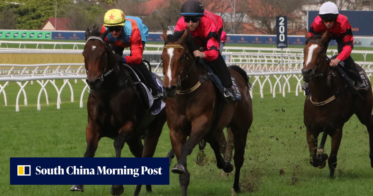 Ka Ying Rising trials ‘better than last year’ in key test ahead of The ...