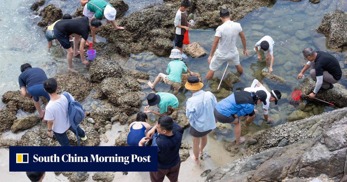 綠色和平組織揭露香港地質公園黃金周期間遊客破壞海洋生態的行為