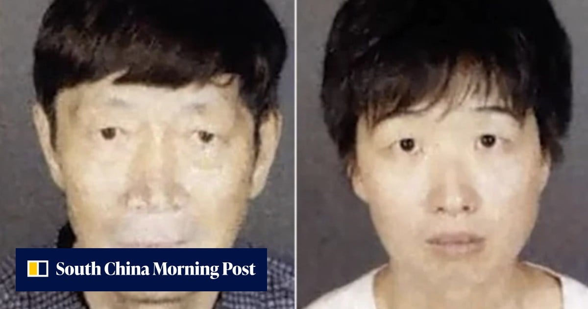 US seeks US$100 million bail each for Chinese-born couple in surrogacy child abuse case
