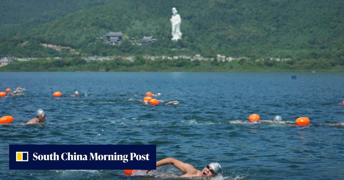 Letters | Hong Kong should invest in natural infrastructure to harvest ...