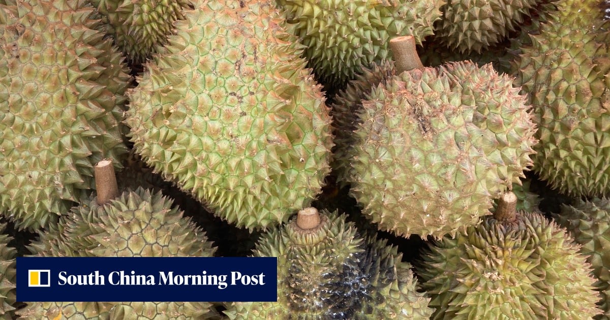 Could Thai durian export duty mean higher prices, higher quality in China?
