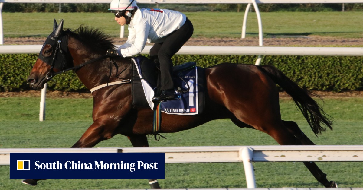 Ka Ying Rising ‘10 per cent better’ as he impresses David Hayes in key ...