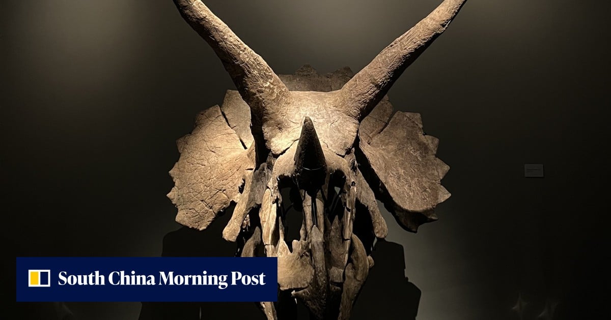 Try to top a triceratops sitting inside Singapore’s ‘Fort Knox’ for the ultra-rich