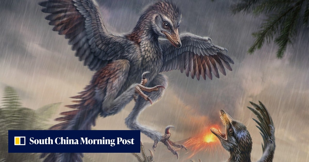 Sorry, Darwin: Chinese fossil shows not all early birds evolved to fly