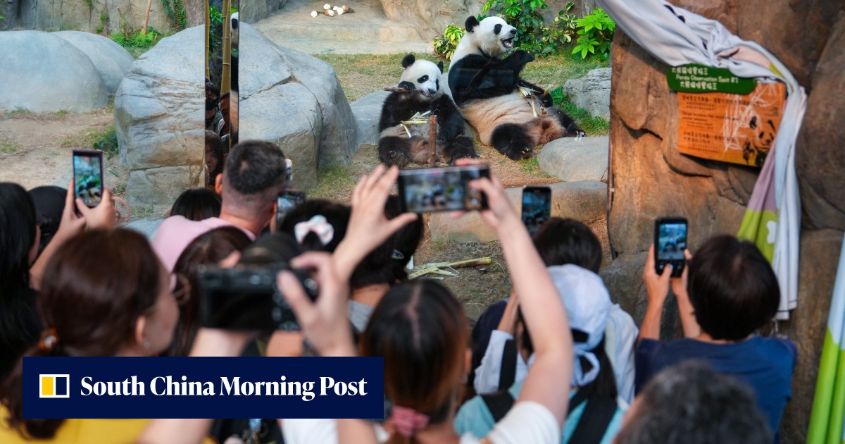 https://cdn.i-scmp.com/sites/default/files/styles/og_image_scmp_generic/public/d8/images/canvas/2026/10/18/19f20c1e-0426-47dc-90de-c9e554327d0c_b6d0f4ec.jpg?itok=XX2L5tnt&v=1792337270