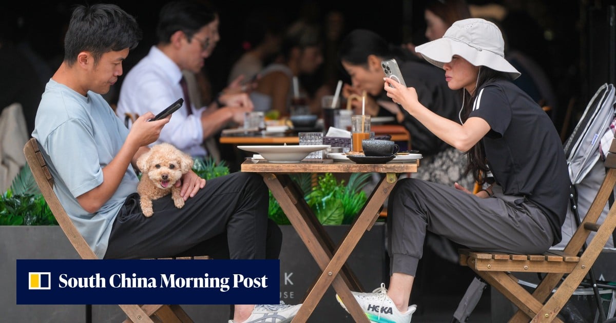 20 restaurants prosecuted for allowing dogs without permits since scheme launched
