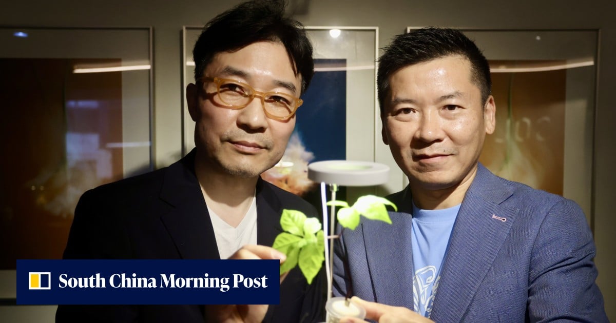 Warum ausländische Unternehmen immer noch auf Hongkongs kulinarischen Ruf setzen