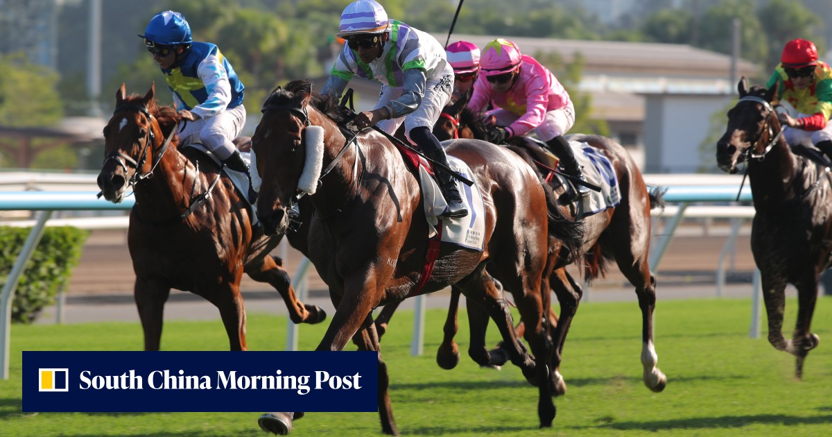 David Eustace savours Group Two glory as Light Years Charm propels ...