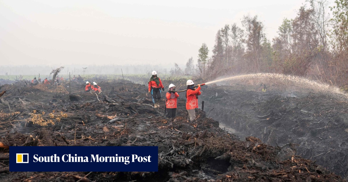 https://cdn.i-scmp.com/sites/default/files/styles/og_image_scmp_generic/public/d8/images/canvas/2026/10/20/04bb8664-51ad-4fc4-ae33-fe8441da3eec_1e9fba29.jpg?itok=1O03Csqa&v=1792481211