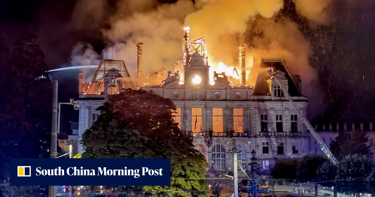 What do the protests in France look like from China? Internet users weigh in