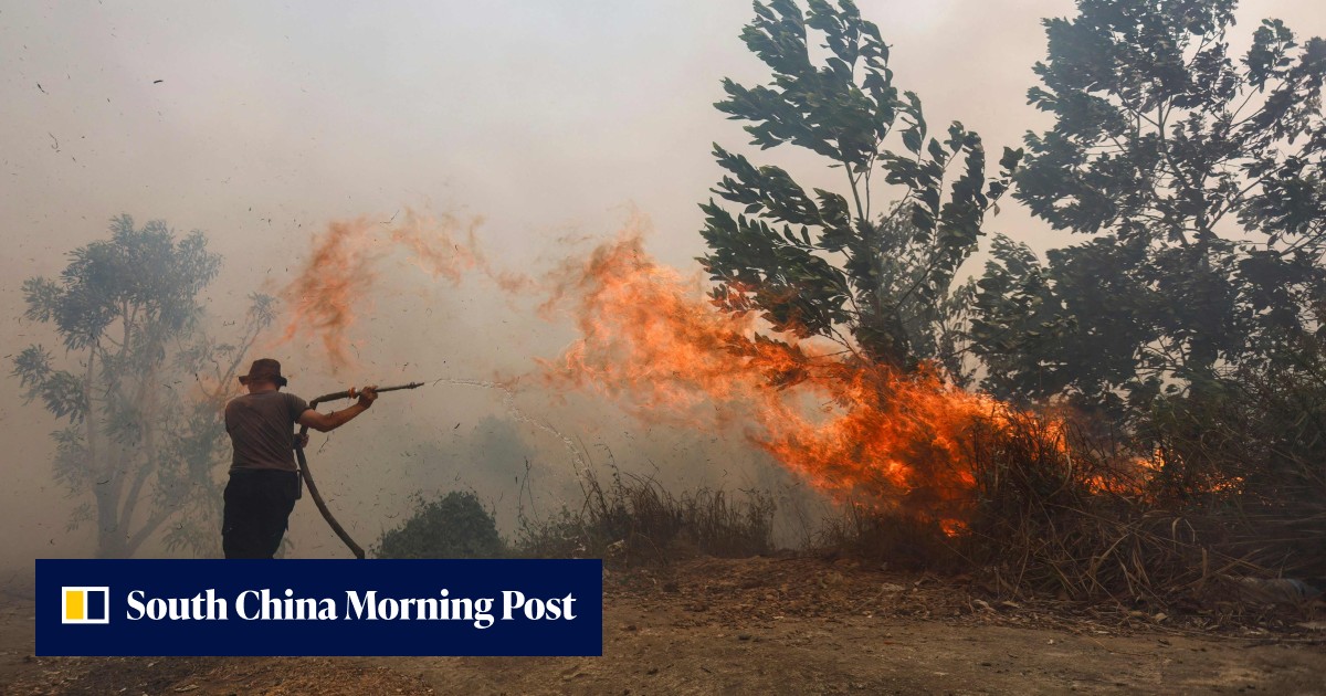 Indonesia haze: why Jakarta won’t declare wildfires a national disaster