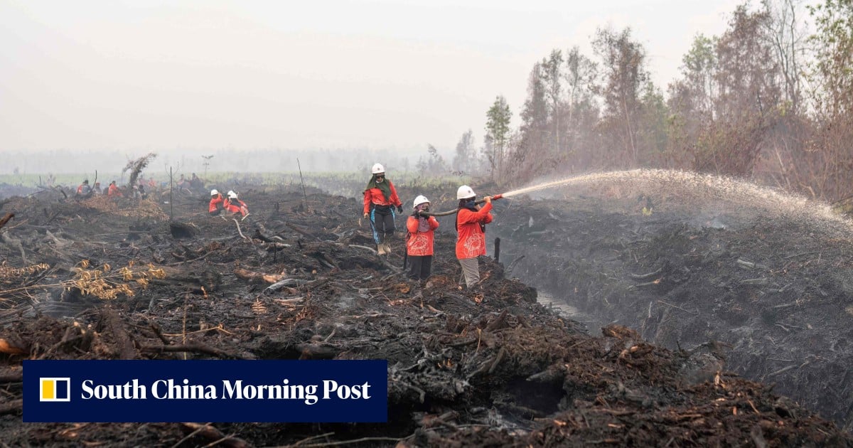 Indonesians turn to eco-art as haze sparks anger and diplomatic tension