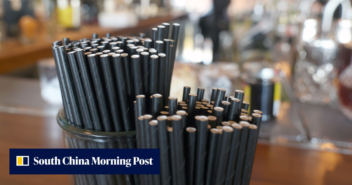 Paper straws worse for the environment than plastic, South Korea study finds