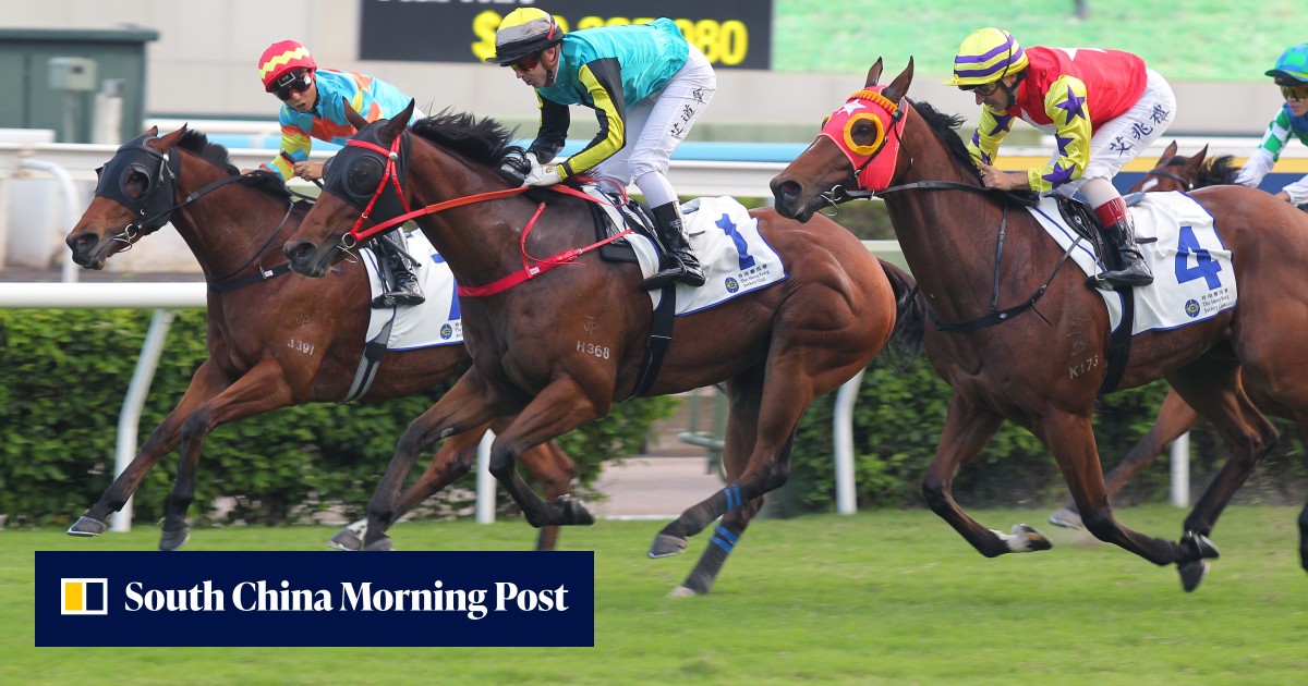 Brenton Avdulla boosts hopes of licence extension with Group Two win on Raging Blizzard