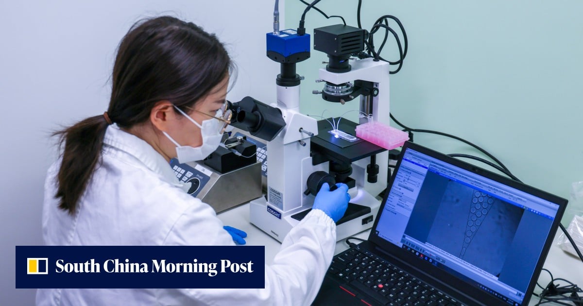 ‘Really terrified’: how a blood test could spare cancer patients an agonising wait