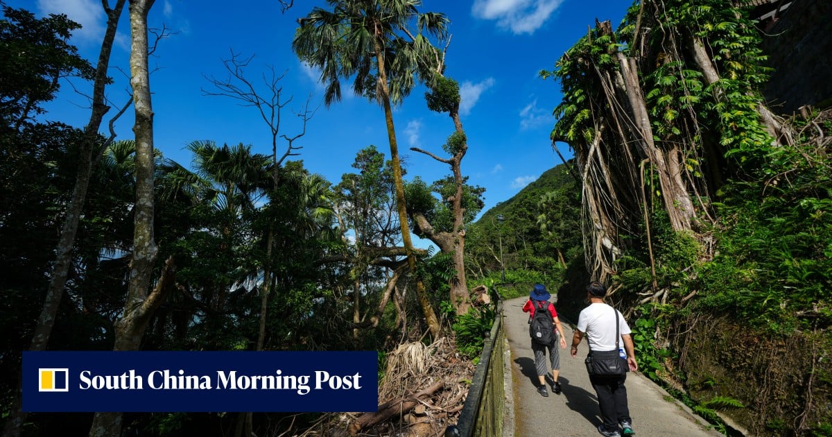 Upgrade or eyesore? Why Hong Kong’s Peak light display has hit a snag