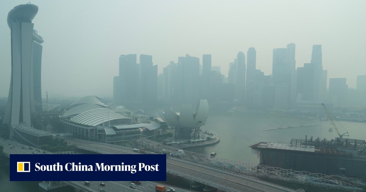 Singapore’s toxic haze probe expands to 10 palm oil, forestry firms