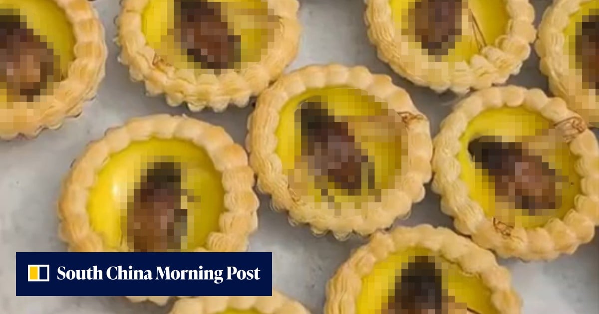 China eatery creates ‘cockroach’-topped egg tarts, sparking viral curiosity