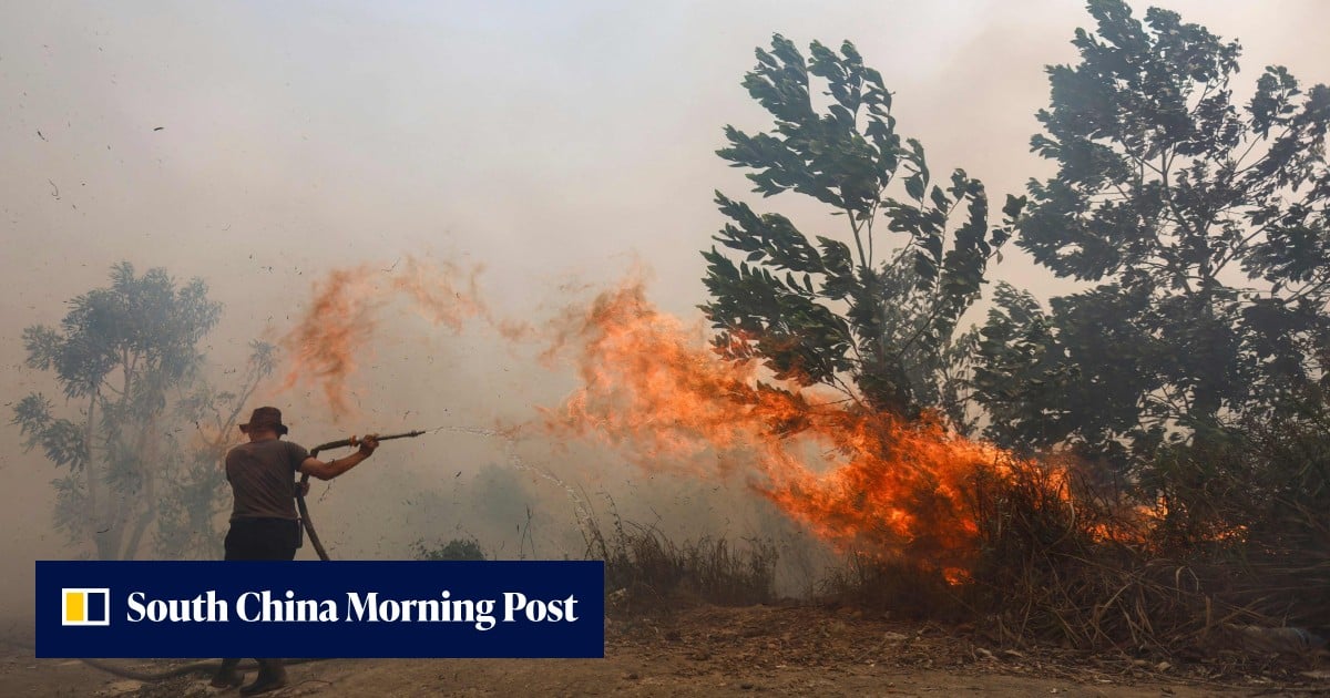 Why paper straws are worse than plastic; haze in Indonesia: 7 Asia highlights