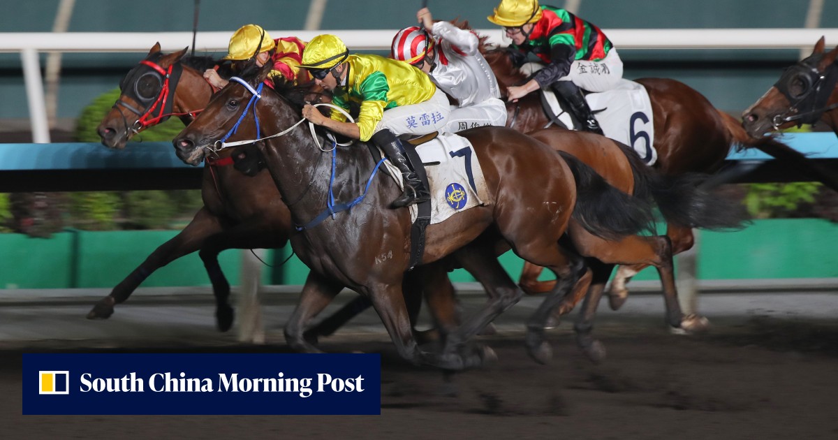 Caspar Fownes has Sky-high hopes for Class Three duo at Sha Tin's all-weather meeting