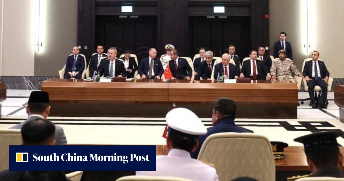 Why are Turkey, Pakistan, Qatar and Indonesia joining forces?