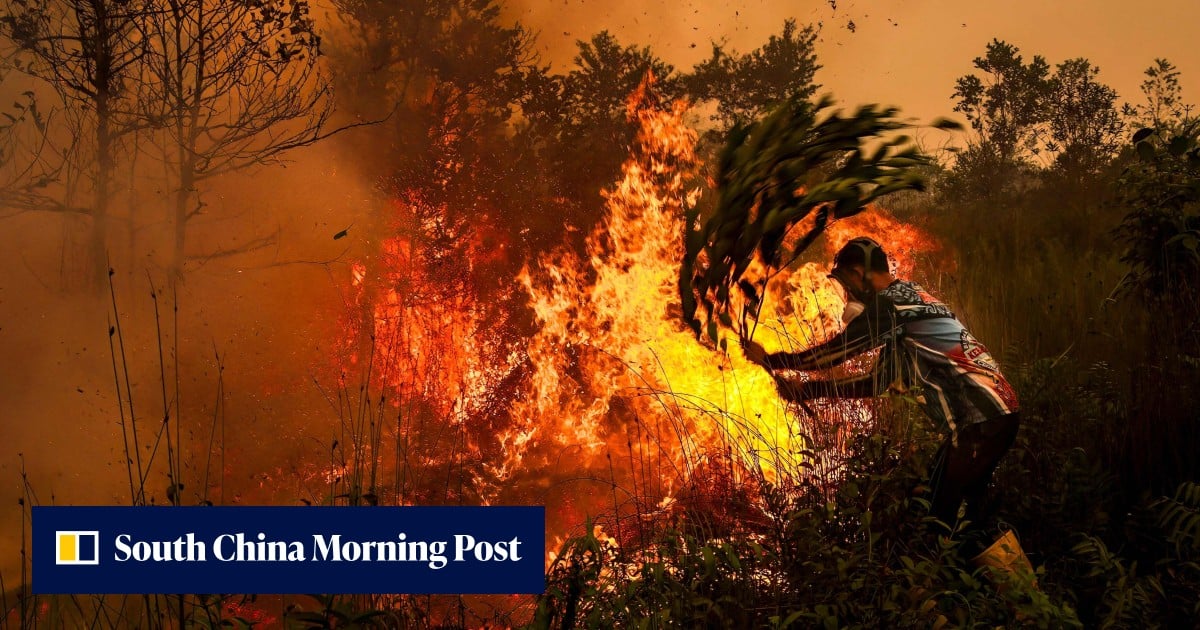 3,560 lives lost to ‘avoidable’ Indonesia wildfire smoke crisis in September