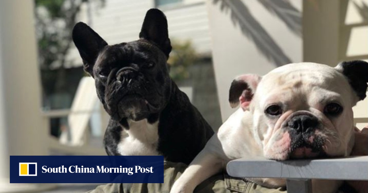 We review Humming Puppy, the New York City yoga studio with good vibes