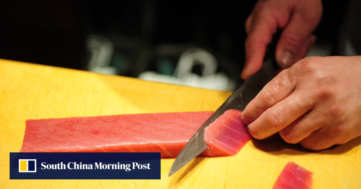 From Kyoto to Kansas City, it’s Indonesian tuna on the world’s sushi counters  South China 