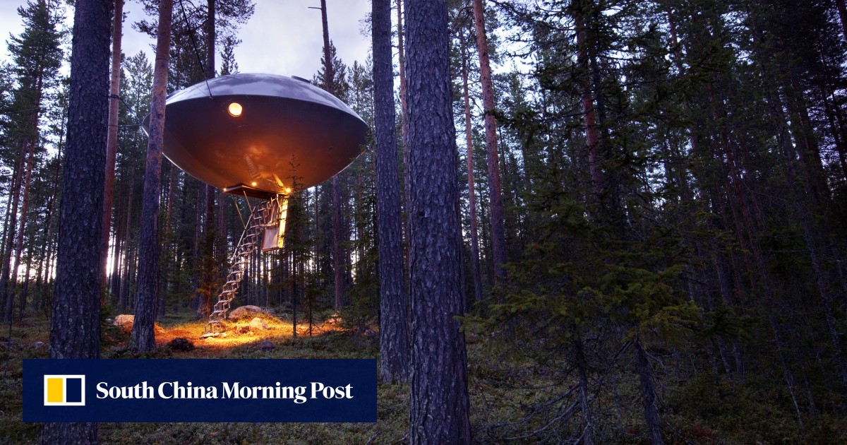 ‘I’ve got a freaking alien in my backyard’ UFO community still