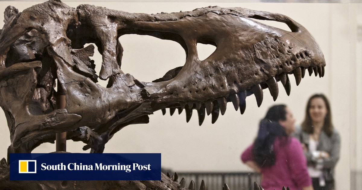 the day the dinosaurs died bbc