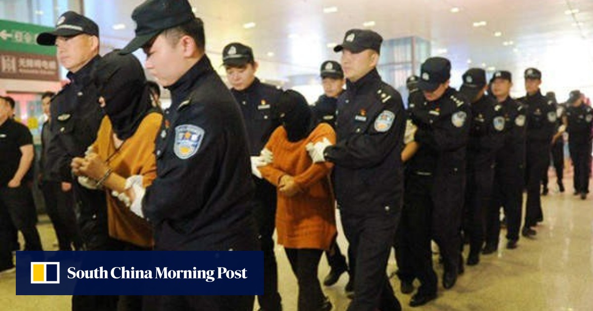 Chinese police smash ring of fraudsters who told victims they were
