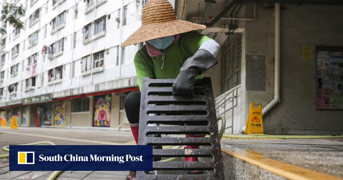 Sweet potatoes for bait and onedoor cages why Hong Kong’s oldstyle