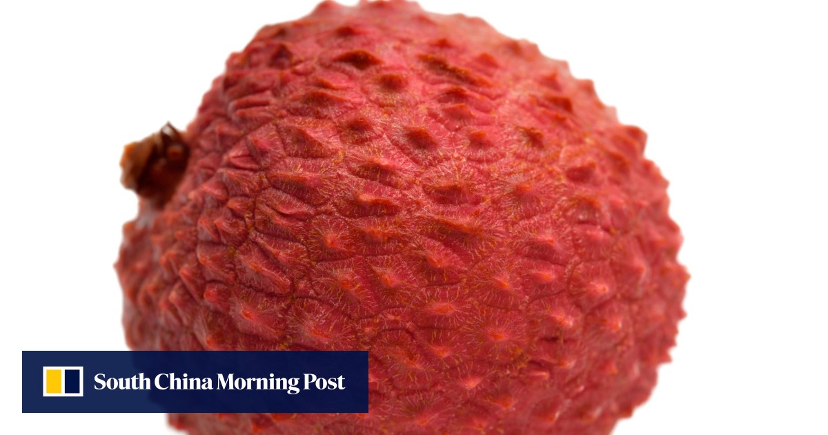 Encephalitis from lychees kills 31 children in India, say health