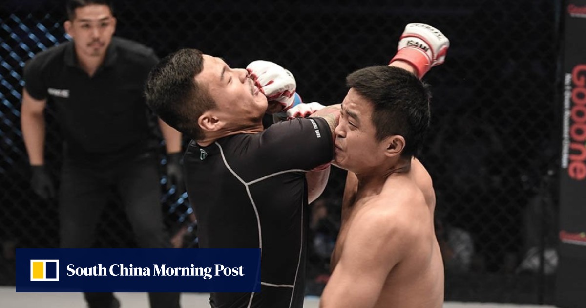 Korean MMA fighter Hwang Insoo gets knocked out in five