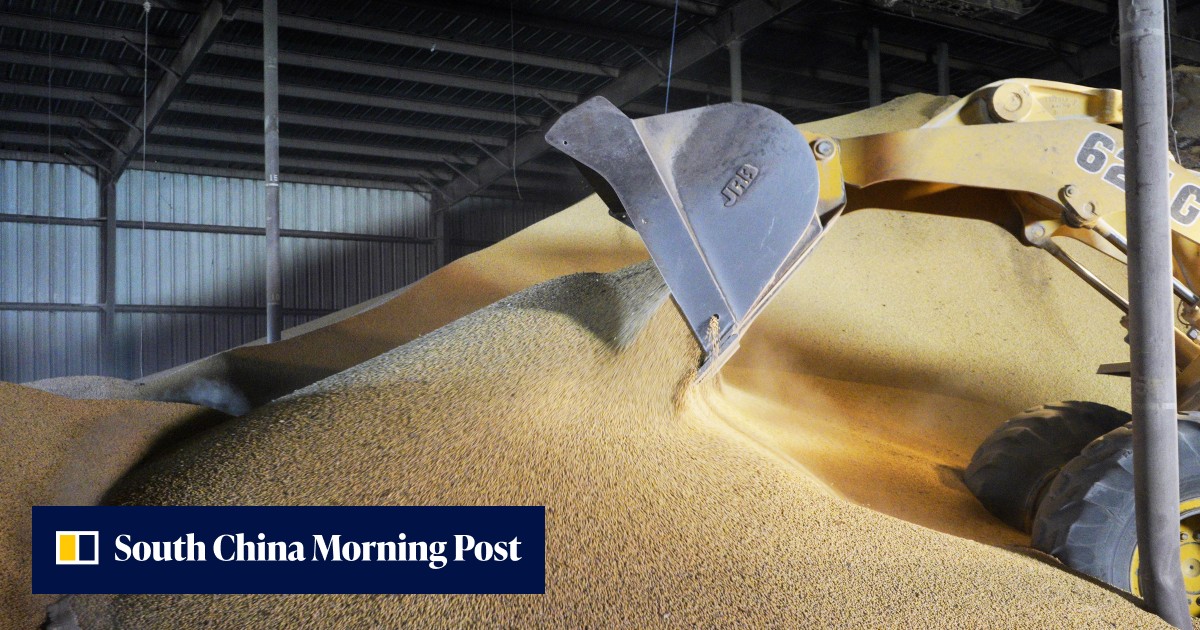 US Department of Agriculture reports surprise soybean deal with China ...