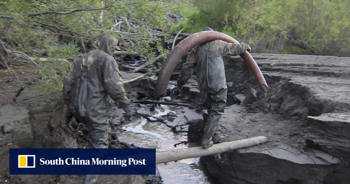 Woolly mammoths the Ice Age prize making small fortunes on the Chinese