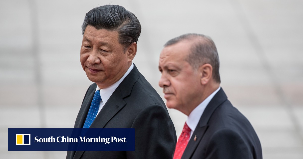 Erdogan’s ‘happy Xinjiang’ comments mistranslated, Turkish officials say
