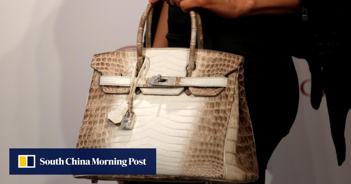 Chinese demand boosts Birkin bag maker Hermès’ sales as Asian appetite for luxury goods grows ...