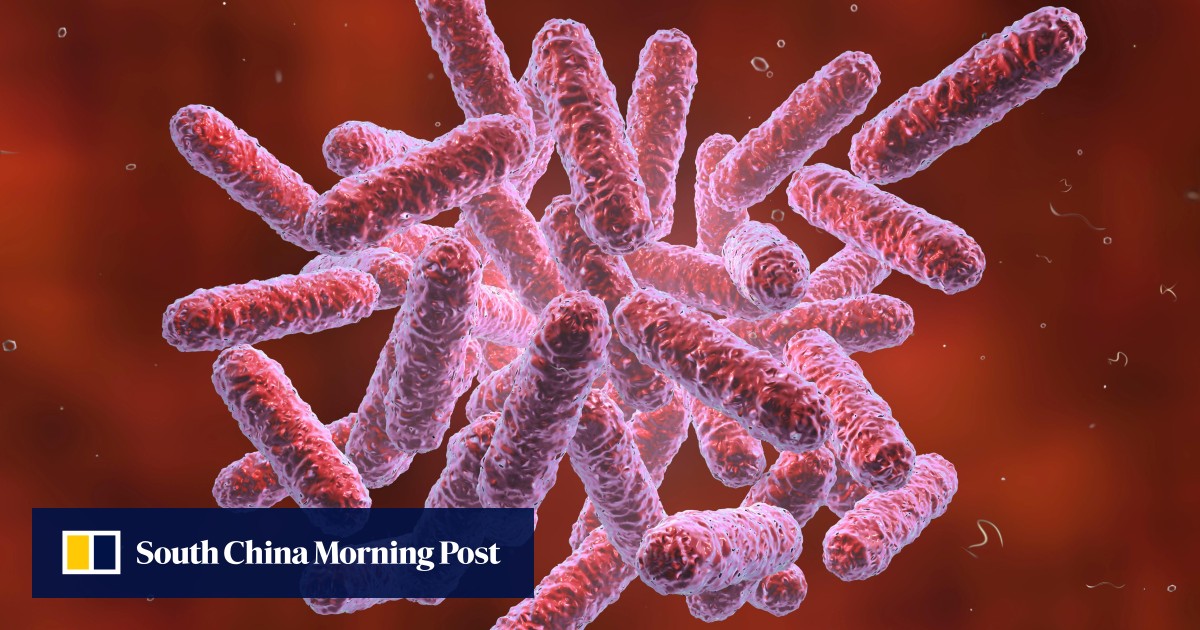 Микроорганизмы enterobacteriaceae. Микроорганизмы enterobacteriaceae