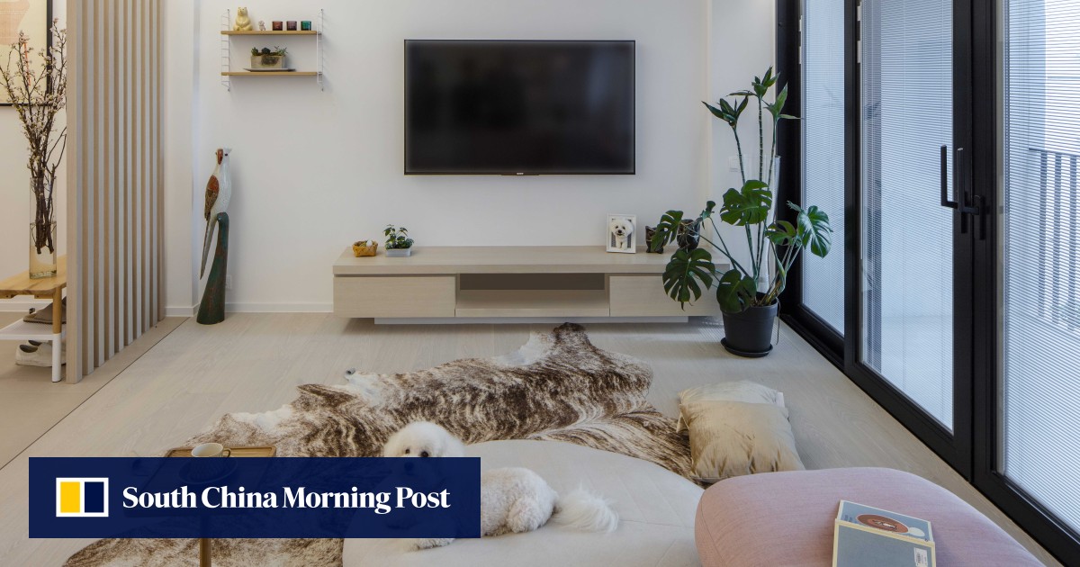 A dogfriendly Hong Kong home that fulfils its human inhabitants’ needs