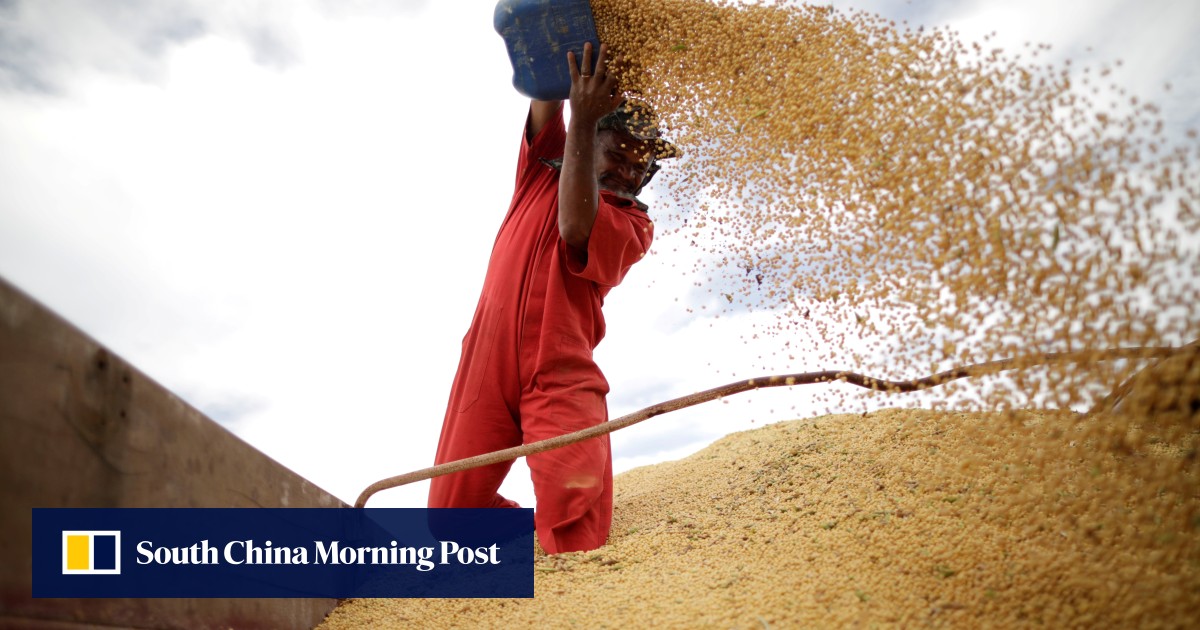 China Should Continue Using Food Imports As Chip In Us Trade