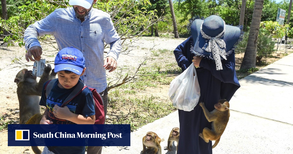 Vietnam tourism monkey shows on Nha Trang island cruel, say animal