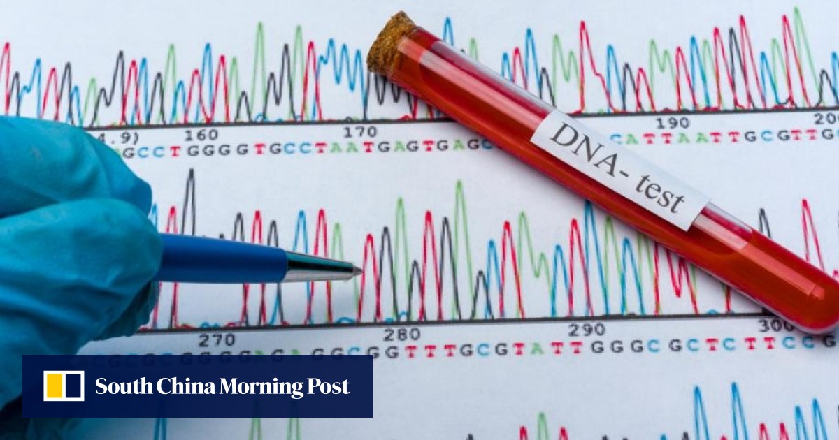 Chinese Dna Inside China Tech: What can China’s DNA tests really tell you? | South ...