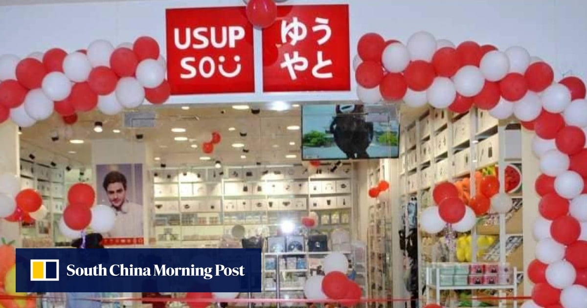 Korean or Chinese? Copycat dollar stores face intellectual property ...