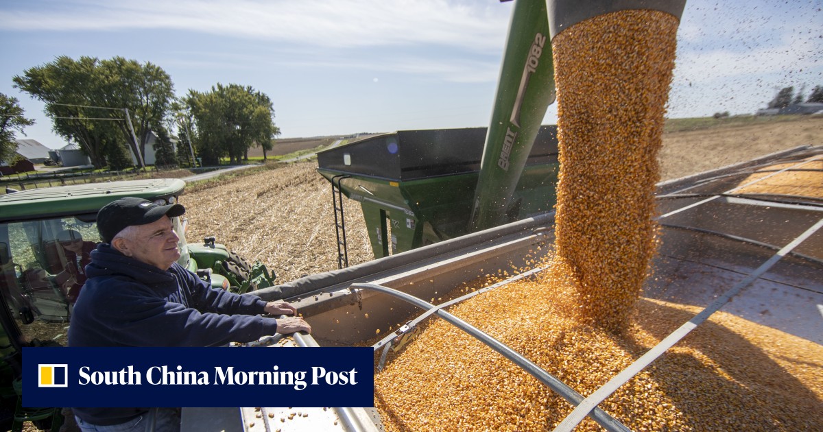 China to demand US remove tariffs in exchange for agricultural ...