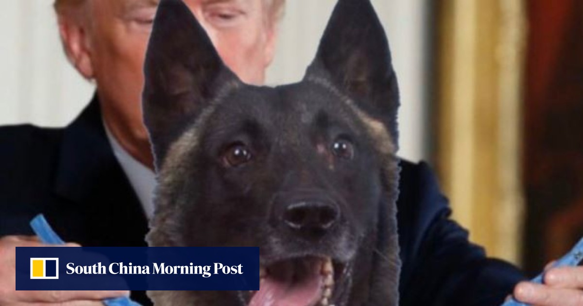 Tasteless Trump tweet replaces Medal of Honour recipient with dog ...