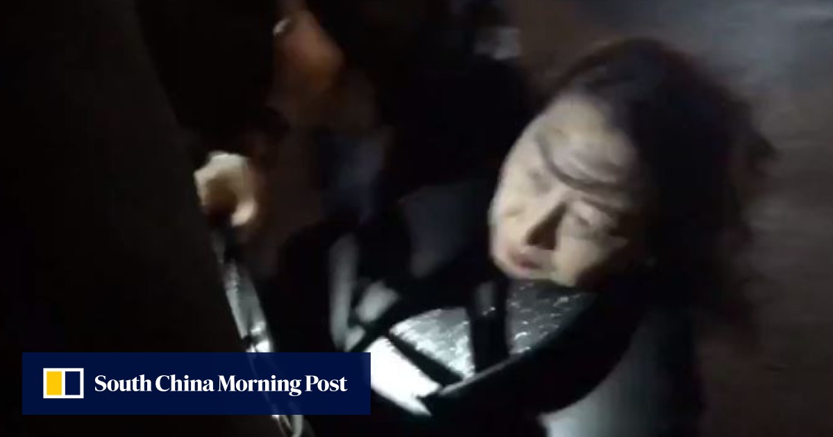 Hong Kong official Teresa Cheng hurt in London as protesters surround her - South China Morning Post
