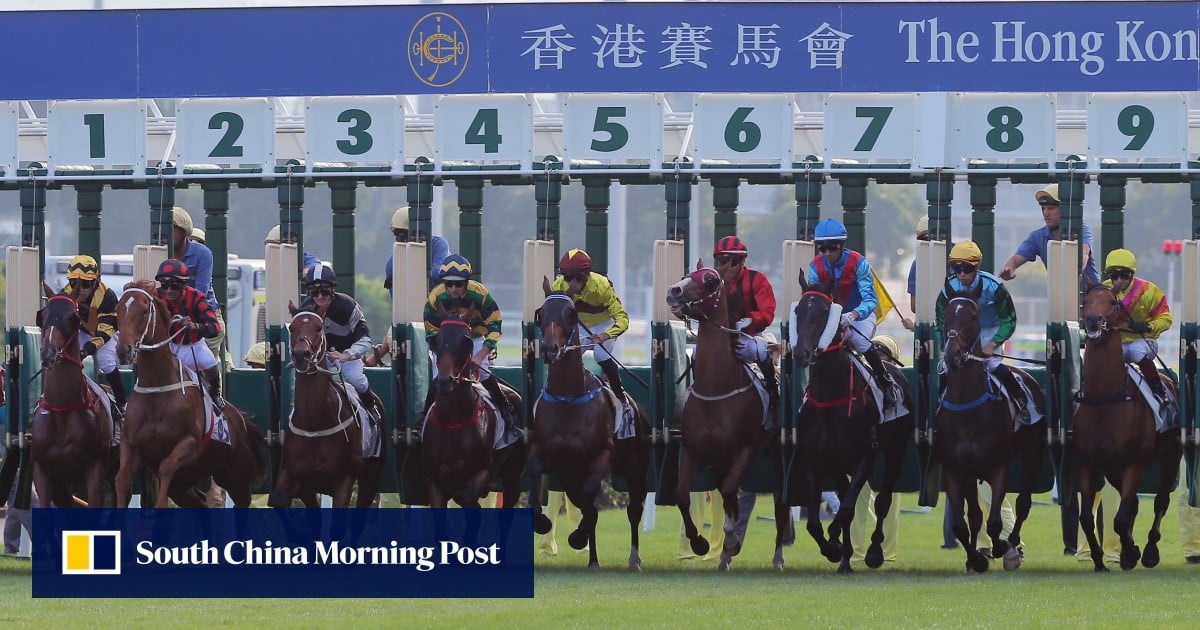 Who is the best horse in Hong Kong right now? HK Racing South China